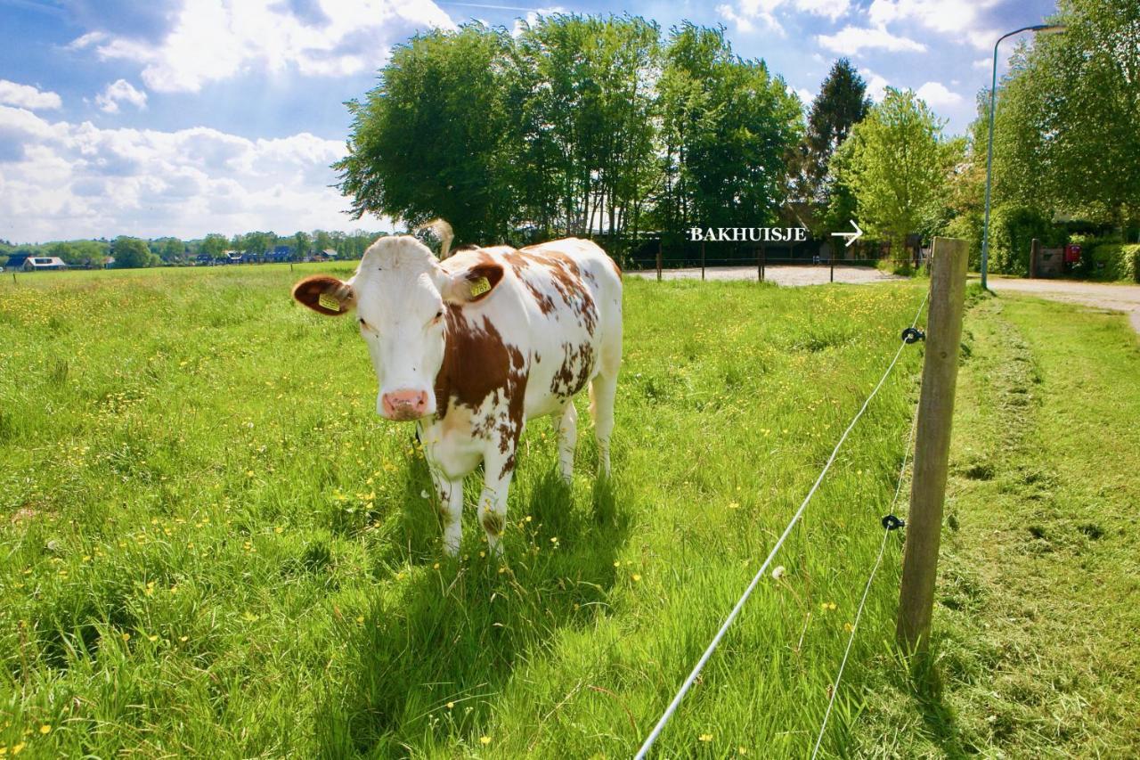 Bakhuisje Op De Veluwe Heerde Екстериор снимка