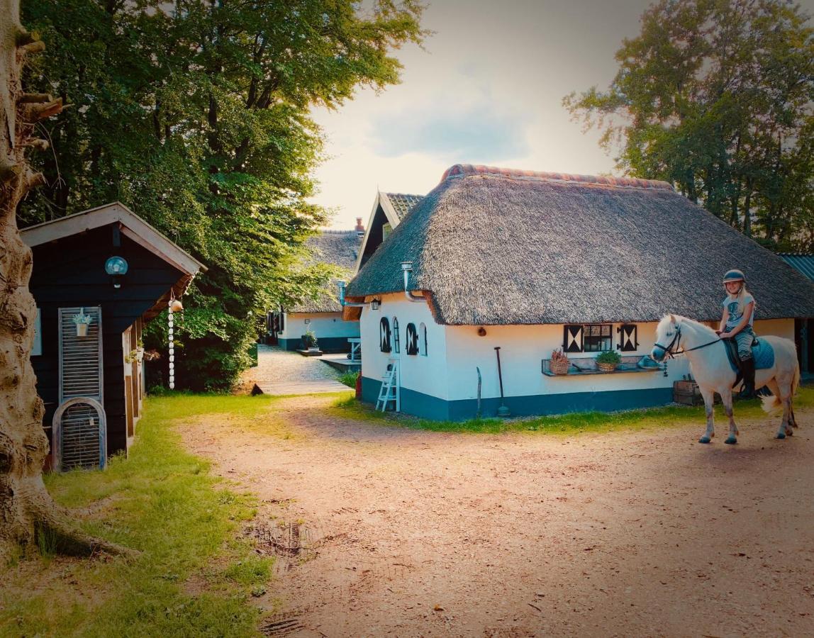 Bakhuisje Op De Veluwe Heerde Екстериор снимка