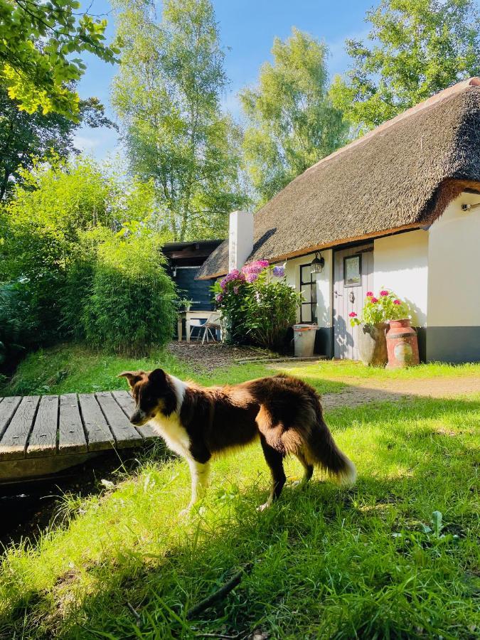 Bakhuisje Op De Veluwe Heerde Екстериор снимка