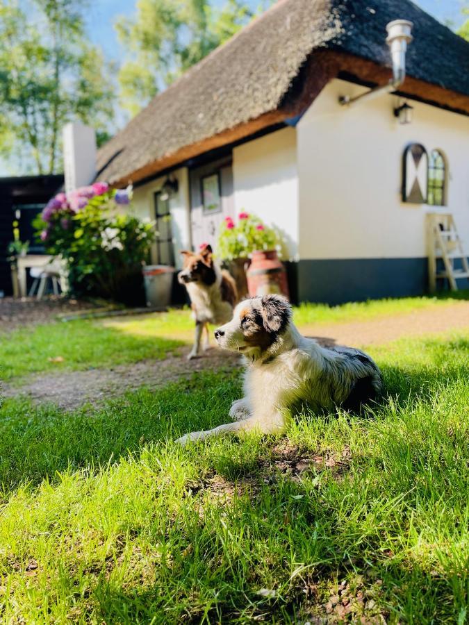 Bakhuisje Op De Veluwe Heerde Екстериор снимка